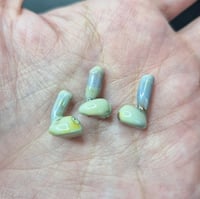 Image 4 of SUNDAY DROP MINI PEENS