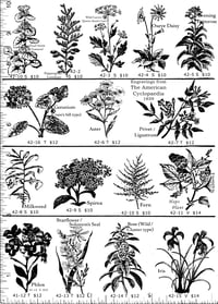 Image 1 of Plant & Flowers Rubber Stamps P42