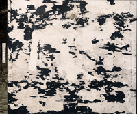 Image 1 of SEWER SYSTEM "EXTINCTSTENCIAL PREVIOULENCE DEIAVOWS ANTHROPOGENOCIDAL IMPURPOSE" (CD) 