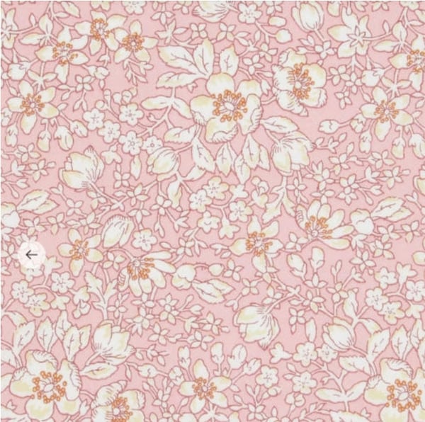 Image of LIZZY  ( C )