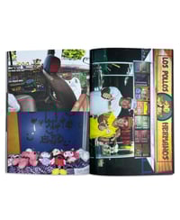 Image 3 of NATURAL ENEMY ZINE - DUKEDUMB