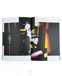 Image 2 of NATURAL ENEMY ZINE - DUKEDUMB