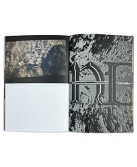 Image 4 of NATURAL ENEMY ZINE - DUKEDUMB