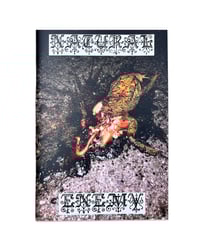 Image 1 of NATURAL ENEMY ZINE - DUKEDUMB