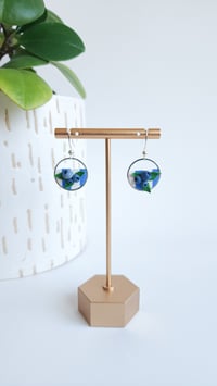 Blueberry Patch Discs