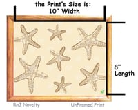 Image 3 of RnJ_Starfish_Natural UnFramed Print