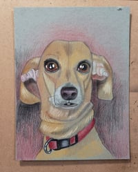 Image 1 of Pet Drawing (Color)