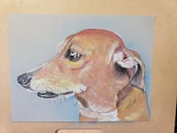 Image 3 of Pet Drawing (Color)
