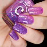 Image 12 of Sun’s Out - Solar