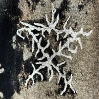 Image 5 of Bonus Track Hoodie