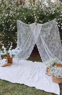 Mommy and Me Outdoor Sessions $275.00