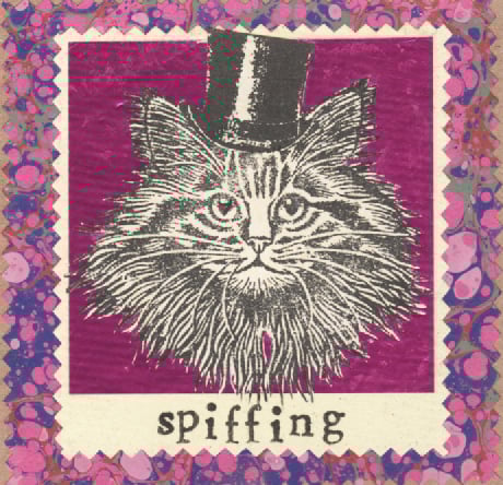 Image of Spifffing
