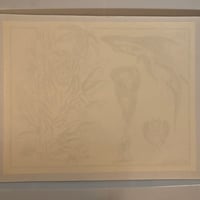 Image 2 of 1985 Spaulding & Roger’s production flash winged skull 11x14