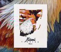 Miami Rooster