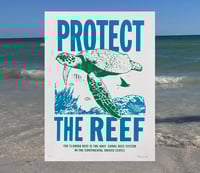 Save the Reef