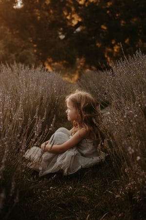 Image of Wildflower Minis