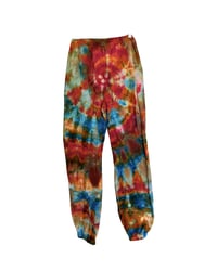 Desert Dwelling Sweatpants - Small