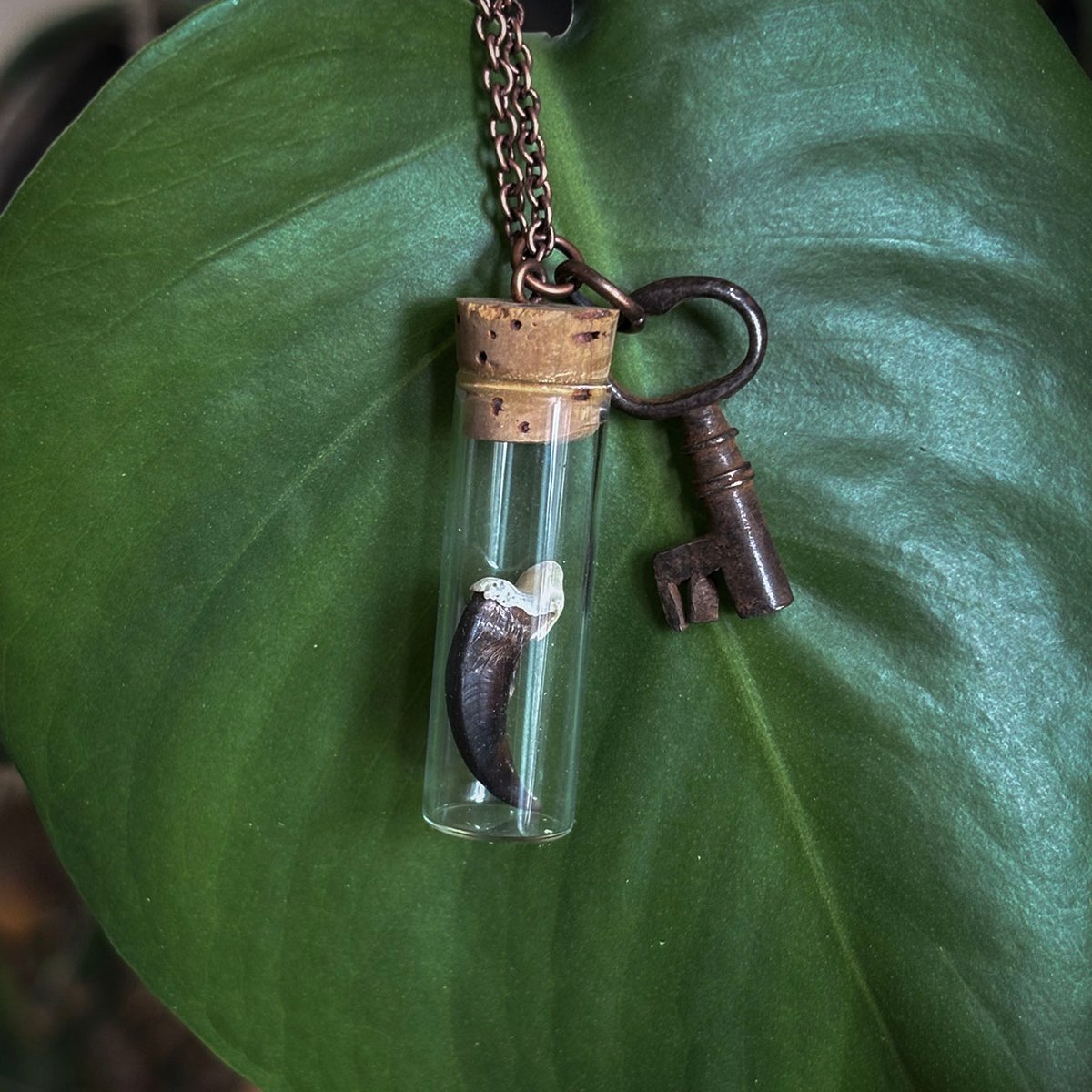 Coyote Claw in vintage watch parts vial with barrel key necklace
