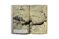 Image 15 of TOXICITÉ COLONIALE - Samia HENNI