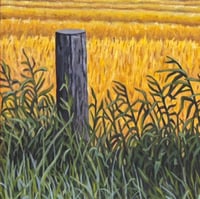 Image 3 of Cutting Through the Field