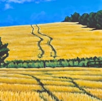 Image 5 of Cutting Through the Field