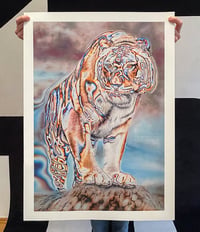 SNYDER: 'Amur' Fineartprint