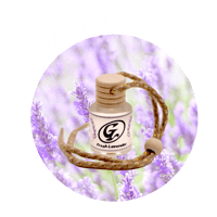 Image 2 of Car Air Fresheners