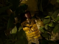 Image 4 of JGS Elan Absolu 50ml