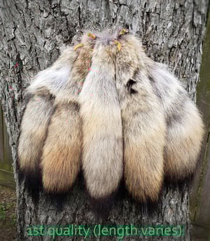 Image of Coyote Tail Keychain