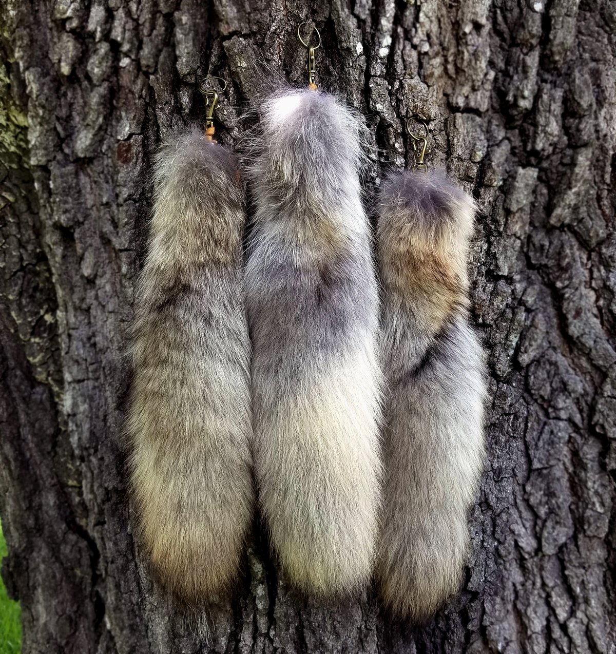 Image of Coyote Tail Keychain