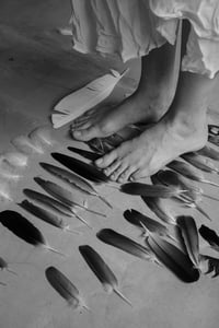 Adagio For Found Feathers X