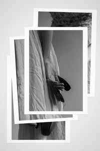 Adagio For Found Feathers — Print Set