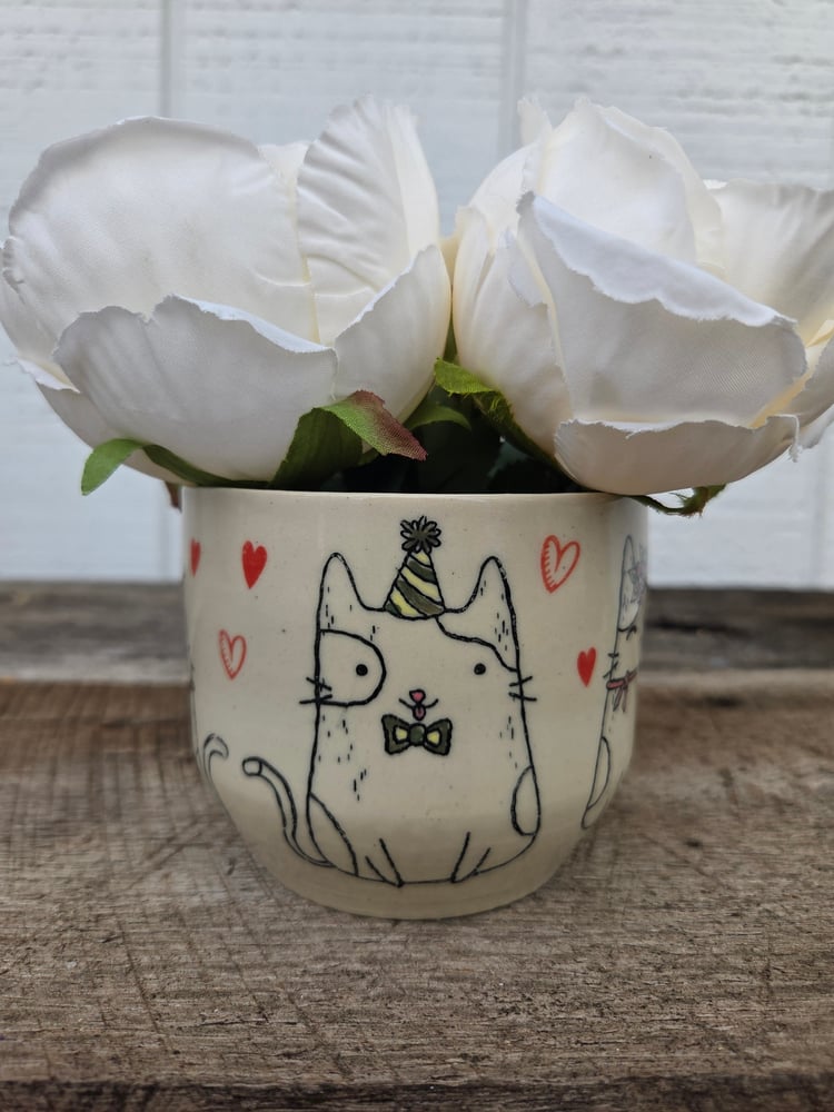 Image of Fancy cat pot