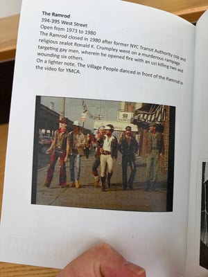 Image of Cruising zine