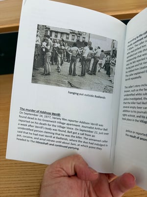 Image of Cruising zine