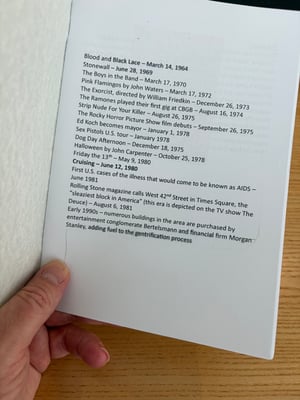 Image of Cruising zine