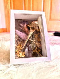 Image 1 of Deer Scapula & quartz 