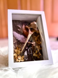 Image 2 of Deer Scapula & quartz 