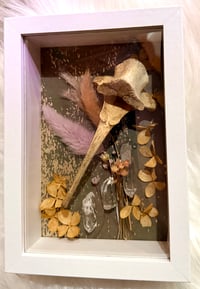 Image 3 of Deer Scapula & quartz 