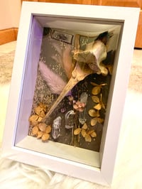 Image 4 of Deer Scapula & quartz 