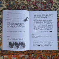 Image 2 of Border Collie Watching Anime on a Laptop, and other dreams