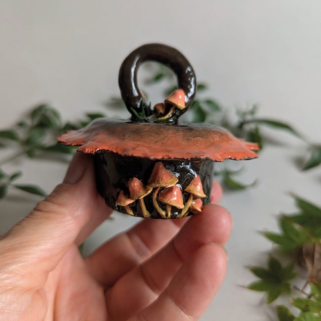 Pixie Hat Mushroom Pot