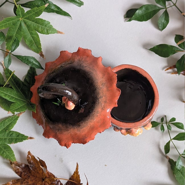 Pixie Hat Mushroom Pot