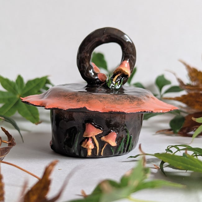 Pixie Hat Mushroom Pot