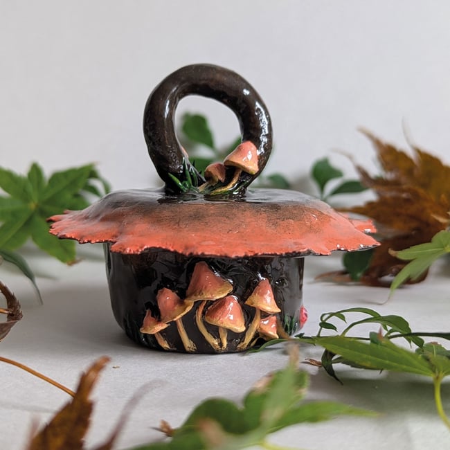 Pixie Hat Mushroom Pot
