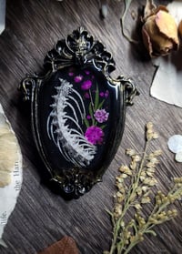 Image 2 of Snake Spine and Floral Mini Wall Frame