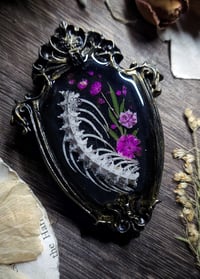 Image 1 of Snake Spine and Floral Mini Wall Frame