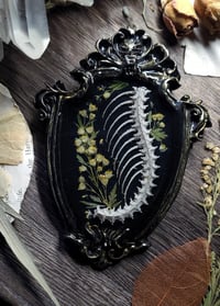 Image 5 of Spine and Floral Wall Frame