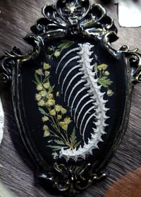 Image 2 of Spine and Floral Wall Frame