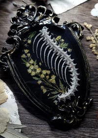 Image 3 of Spine and Floral Wall Frame